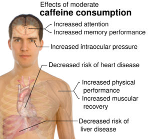 Effects of moderate caffeine consumption
