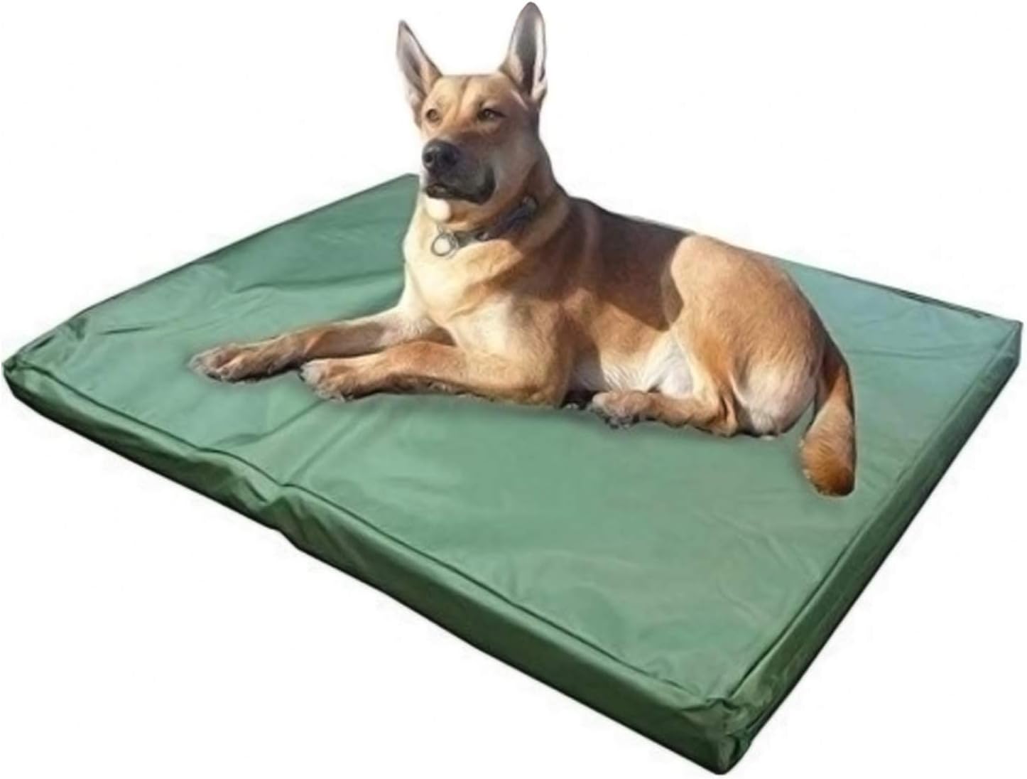 ADOV DOG Bed Medium, Waterproof Pet Bed, Premium Double-Sided and Washable Cover, Orthopaedic Foam Dog Bed Mat, Medium Kennel Pads for Dogs, Cats, Other Small and Large Sized Pets - (84 x 54cm)