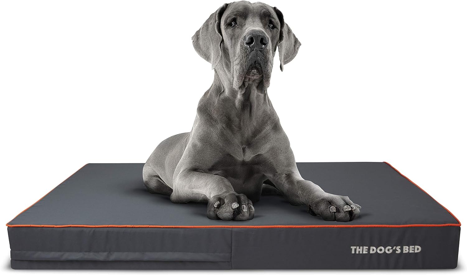 The Dog’s Bed Orthopaedic Dog Bed XXL Orange 137x91cm, Premium Waterproof Memory Foam Dog Bed