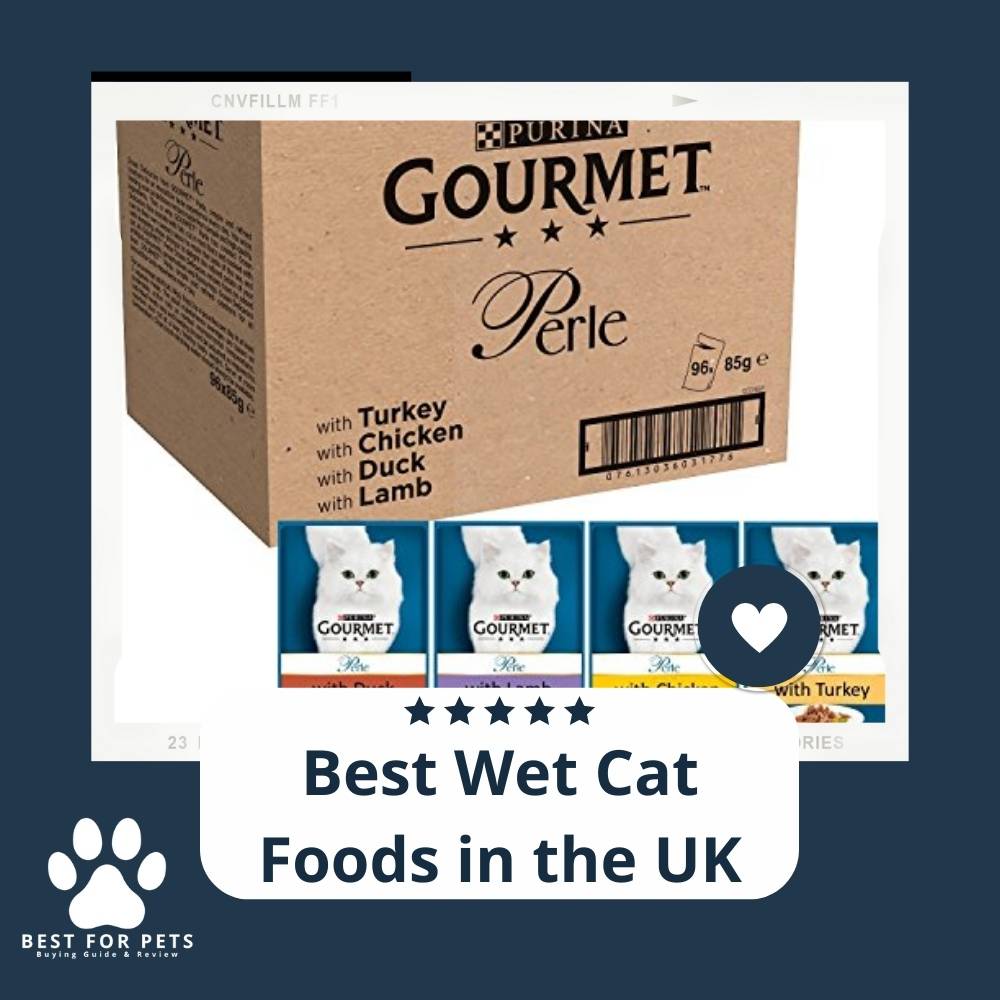 best-wet-cat-foods-in-the-uk